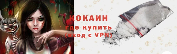 прущие грибы Алзамай
