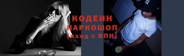 прущие грибы Алзамай
