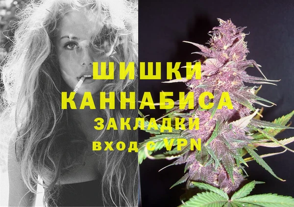 шишки Алексин