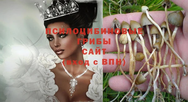 прущие грибы Алзамай