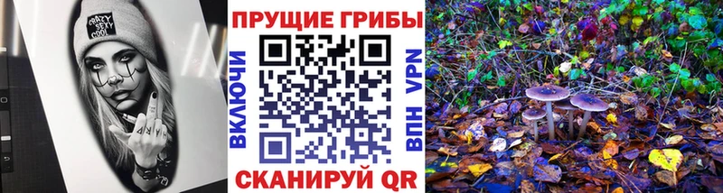 Псилоцибиновые грибы MAGIC MUSHROOMS  купить  цена  Губкин 
